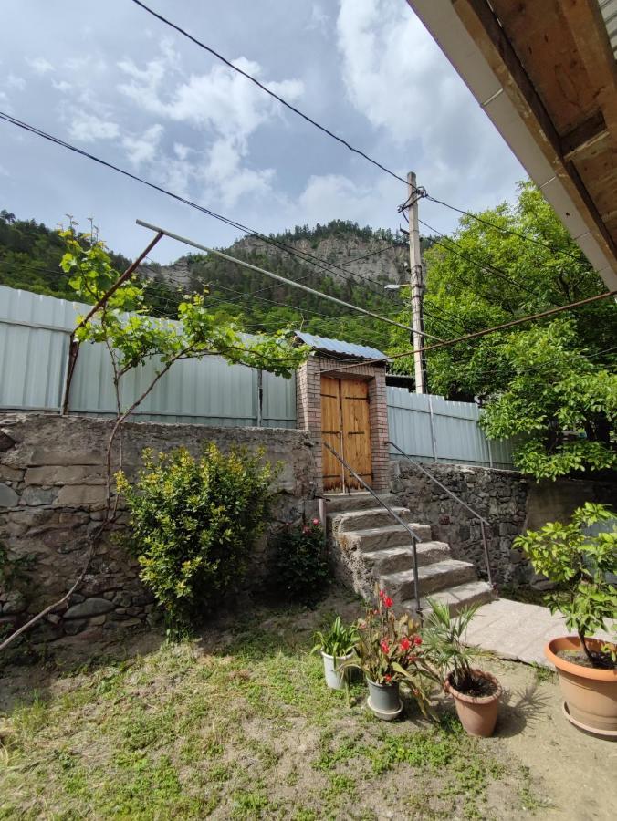Ati Mta - Eco Hostel Borjomi Eksteriør billede